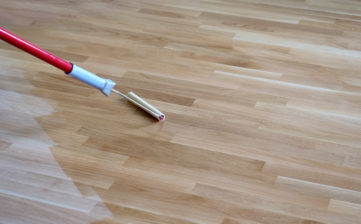Varnishing lacquering an oak parquet floor by paint roller first layer.