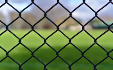 Black wire mesh with green grass blurred in background