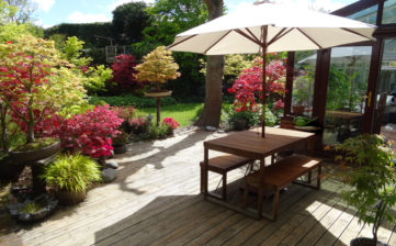 Photo showing a contemporary style Japanese garden, with a large area of timber decking.  A wooden table and benches provide a spot for al fresco dining, being shaded from the sun by a cream parasol umbrella.  The garden also features bonsai trees, bamboo, Japanese maples, grasses and azaleas.